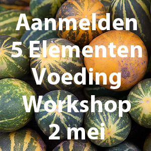 Workshop 5 Elementen Voeding in Haarlem